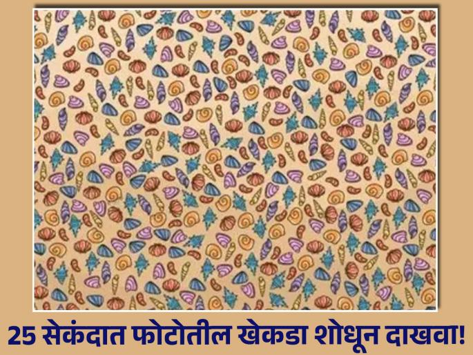 Optical Illusion : Can you find crab hidden among sea shells in 30 second | समुद्री शिंपल्यांमध्ये लपला आहे एक खेकडा, 25 सेकंदात शोधण्याचं आहे चॅलेंज! Optical Illusion : Can you find crab hidden among sea shells in 30 second | समुद्री शिंपल्यांमध्ये लपला आहे एक खेकडा, 25 सेकंदात शोधण्याचं आहे चॅलेंज!