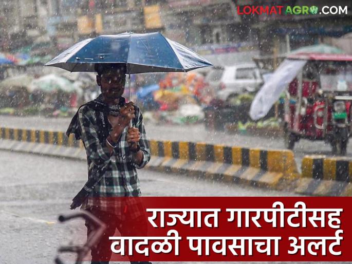 Rain Alert today: Chance of stormy rain with hailstorm in the state, where has the weather department given an alert? | Rain Alert today: राज्यात इथे गारपीटीसह वादळी पावसाची शक्यता, कुठे दिला हवामान विभागाने अलर्ट? Rain Alert today: Chance of stormy rain with hailstorm in the state, where has the weather department given an alert? | Rain Alert today: राज्यात इथे गारपीटीसह वादळी पावसाची शक्यता, कुठे दिला हवामान विभागाने अलर्ट?