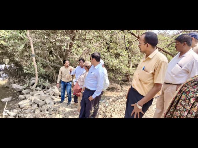 Light Pollution cause to Kill Flamingos, BNHS Inspects | फ्लेमिंगोंच्या मृत्यूला प्रकाश प्रदूषण कारणीभूत - मँग्रोव्ह सेल, बीएनएचएसने केली पाहणी Light Pollution cause to Kill Flamingos, BNHS Inspects | फ्लेमिंगोंच्या मृत्यूला प्रकाश प्रदूषण कारणीभूत - मँग्रोव्ह सेल, बीएनएचएसने केली पाहणी