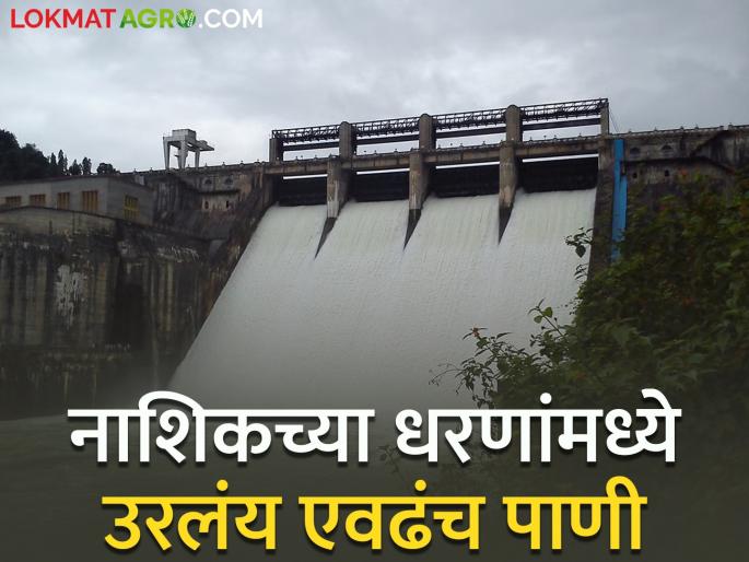 There is only so much water left in the dams of Nashik, water shortages with temperature | नाशिकच्या धरणांमध्ये एवढंच पाणी शिल्लक, तापमानासह पाणीटंचाईचे चटके There is only so much water left in the dams of Nashik, water shortages with temperature | नाशिकच्या धरणांमध्ये एवढंच पाणी शिल्लक, तापमानासह पाणीटंचाईचे चटके