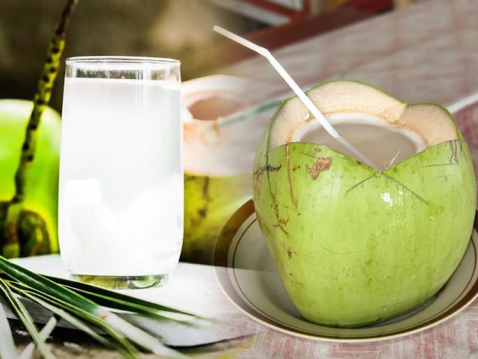 Benefits Of Coconut Water: 5 Benefits Of Drinking Coconut Water In Summer, Avoid Summer hit - Accept Natural Alternatives | Benefits Of Coconut Water : उन्हाळ्यात नारळपाणी पिण्याचे ५ फायदे, उन्हाचा त्रास टाळा- स्वीकारा नॅचरल पर्याय