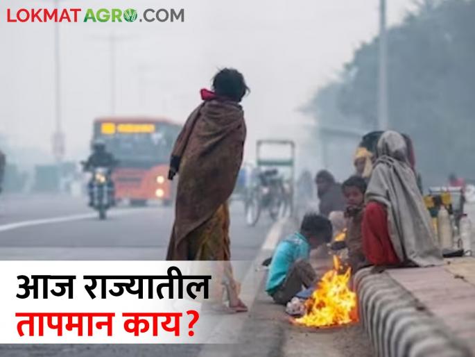 The force of the cold is fading! how was the temperature in which district of the state? | थंडीचा जोर ओसरतोय! आज राज्यात कोणत्या जिल्ह्यात कसे होते तापमान? The force of the cold is fading! how was the temperature in which district of the state? | थंडीचा जोर ओसरतोय! आज राज्यात कोणत्या जिल्ह्यात कसे होते तापमान?