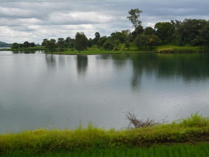 The oxygen of the lakes saved from pollution; Relief from the ban on immersion | प्रदूषणातून बचावला तलावांचा प्राणवायू; विसर्जनावर बंदीने दिलासा The oxygen of the lakes saved from pollution; Relief from the ban on immersion | प्रदूषणातून बचावला तलावांचा प्राणवायू; विसर्जनावर बंदीने दिलासा