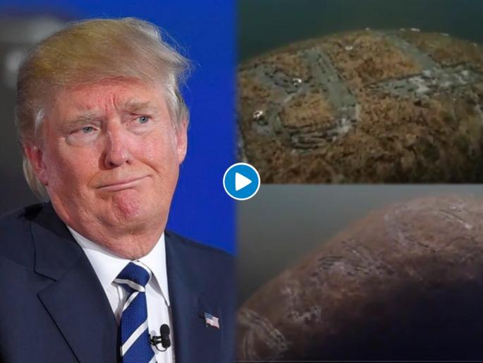 US fish and wildlife service are looking for the person who wrote trump on a sea mamma | VIDEO : 'या' समुद्री जीवाच्या पाठीवर लिहिलं TRUMP यांचं नाव, आरोपीची माहिती देणाऱ्यास मिळणार ३ लाख रूपये! US fish and wildlife service are looking for the person who wrote trump on a sea mamma | VIDEO : 'या' समुद्री जीवाच्या पाठीवर लिहिलं TRUMP यांचं नाव, आरोपीची माहिती देणाऱ्यास मिळणार ३ लाख रूपये!