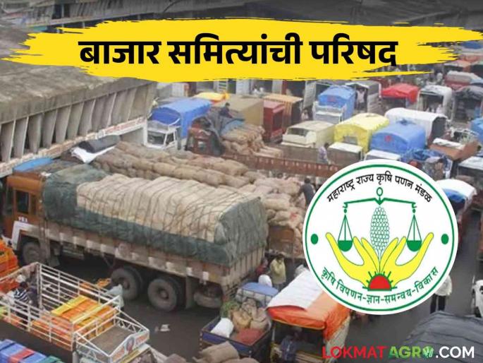 Market Yard Conference Reform of Market Committees conference was organized by the Minister of Commerce | Market Yard Conference : बाजार समित्यांत होणार सुधारणा! राज्यस्तरीय परिषदेचे आयोजन