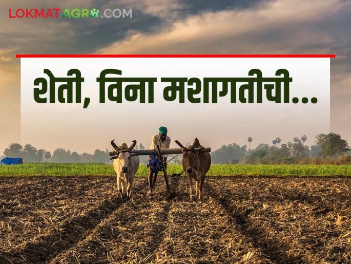 The farmers of Marathwada have got a way to increase their production by using the vinous cultivation technique of Konkan | कोकणातील विनामशागत तंत्र वापरलं, मराठवाड्यातील शेतकऱ्यांना मिळाला उत्पादनवाढीचा मार्ग The farmers of Marathwada have got a way to increase their production by using the vinous cultivation technique of Konkan | कोकणातील विनामशागत तंत्र वापरलं, मराठवाड्यातील शेतकऱ्यांना मिळाला उत्पादनवाढीचा मार्ग