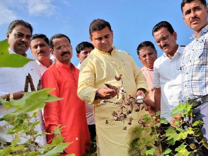  The state government is backed by the affected farmers | राज्य शासन नुकसानग्रस्त शेतकऱ्यांच्या पाठीशी