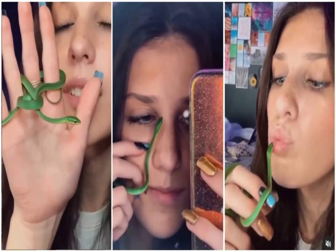 Viral video of girl wearing snake in Fingure's shocking video | Viral Video : बाबो! तरूणीने अंगठीप्रमाणे बोटांमध्ये गुंडाळला साप, १० लाख लोकांनी पाहिला व्हिडीओ Viral video of girl wearing snake in Fingure's shocking video | Viral Video : बाबो! तरूणीने अंगठीप्रमाणे बोटांमध्ये गुंडाळला साप, १० लाख लोकांनी पाहिला व्हिडीओ