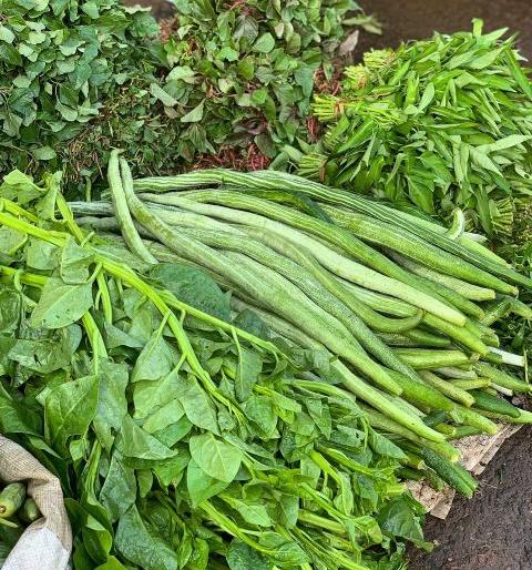 Vegetable Festival on Sunday in Nagpur | नागपुरात रविवारी रानभाज्या महोत्सव