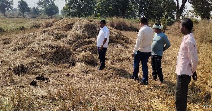 Elephants damage crops to 20 farmers in gadchiroli | हत्तींची घुसखोरी, २० शेतकऱ्यांच्या पिकांचे नुकसान Elephants damage crops to 20 farmers in gadchiroli | हत्तींची घुसखोरी, २० शेतकऱ्यांच्या पिकांचे नुकसान