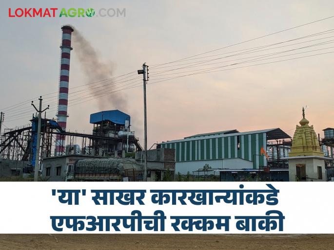 How many sugar mills in the state have FRP amount outstanding? How much is the balance? | राज्यात किती साखर कारखान्यांकडे एफआरपीची रक्कम बाकी? किती आहे बाकी रक्कम? How many sugar mills in the state have FRP amount outstanding? How much is the balance? | राज्यात किती साखर कारखान्यांकडे एफआरपीची रक्कम बाकी? किती आहे बाकी रक्कम?