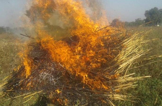 Mangrul caught fire twice and destroyed 25,000 fodder | मंगरुळला दोनदा आग लागून २५ हजाराचा चारा खाक Mangrul caught fire twice and destroyed 25,000 fodder | मंगरुळला दोनदा आग लागून २५ हजाराचा चारा खाक