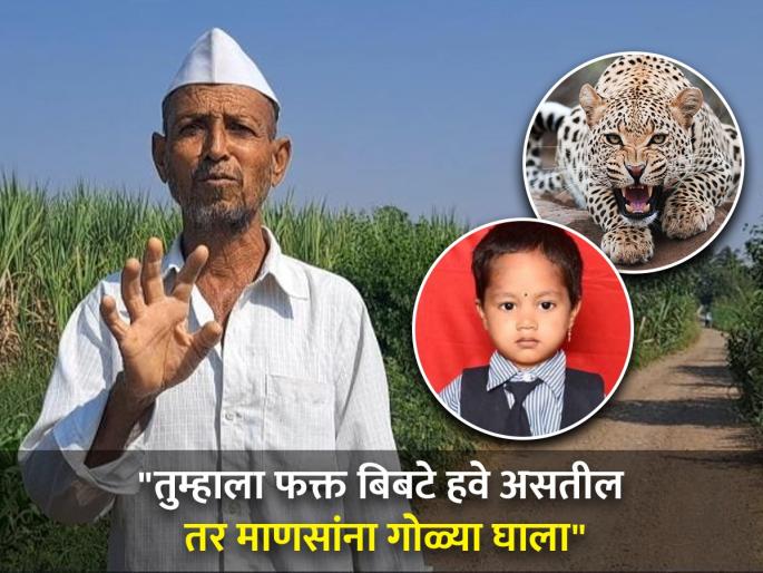 junnar ale leopard attack and killed 3 year child forest department family angry in leopard important shoot men | "तुम्हाला फक्त बिबटे हवे असतील तर माणसांना गोळ्या घाला" junnar ale leopard attack and killed 3 year child forest department family angry in leopard important shoot men | "तुम्हाला फक्त बिबटे हवे असतील तर माणसांना गोळ्या घाला"