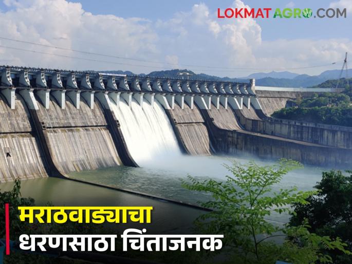 Only so much water is left in the dams of Marathwada, how much is stored in which dam? | मराठवाड्यातील धरणांमध्ये राहिला केवळ एवढा पाणीसाठा, कोणत्या धरणात किती साठा? Only so much water is left in the dams of Marathwada, how much is stored in which dam? | मराठवाड्यातील धरणांमध्ये राहिला केवळ एवढा पाणीसाठा, कोणत्या धरणात किती साठा?
