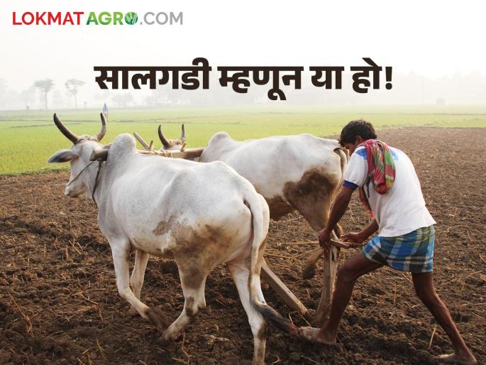 Come to work as Salgadi, saad worn by farmers on the occasion of Gudi Padwa | सालगडी म्हणून कामाला या हो, गुढीपाडव्याच्या मुहुर्तावर शेतकऱ्यांनी घातली साद Come to work as Salgadi, saad worn by farmers on the occasion of Gudi Padwa | सालगडी म्हणून कामाला या हो, गुढीपाडव्याच्या मुहुर्तावर शेतकऱ्यांनी घातली साद