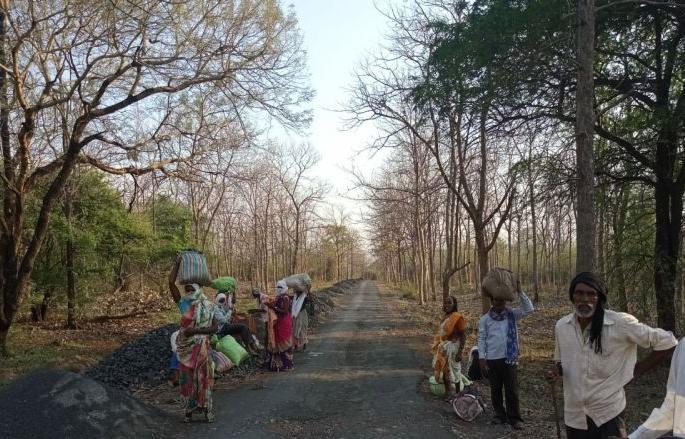 Will accept online applications from laborers, tourists, students | अडकून पडलेले मजूर, पर्यटक, विद्यार्थी यांचे ‘ऑनलाईन’ अर्ज स्वीकारणार Will accept online applications from laborers, tourists, students | अडकून पडलेले मजूर, पर्यटक, विद्यार्थी यांचे ‘ऑनलाईन’ अर्ज स्वीकारणार