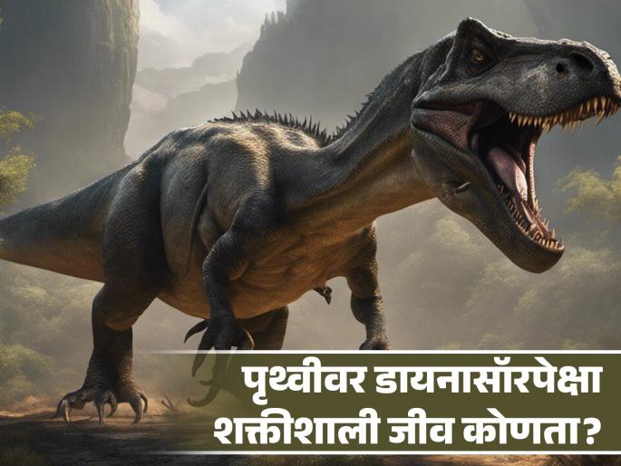Expert claim Cockroach is stronger than dinosaurs can survive in nuclear war | डायनासॉरपेक्षाही शक्तीशाली आहे हा जीव, अणुबॉम्ब टाकला तरी राहतील जिवंत! Expert claim Cockroach is stronger than dinosaurs can survive in nuclear war | डायनासॉरपेक्षाही शक्तीशाली आहे हा जीव, अणुबॉम्ब टाकला तरी राहतील जिवंत!