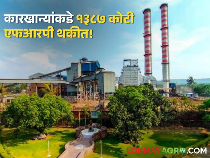 Sugarcane FRP 80 sugar mills in state have outstanding FRP of 1387 crores sugarcane producers farmer | Sugarcane FRP : राज्यातील ८० साखर कारखान्यांकडे १३८७ कोटींची एफआरपी थकीत Sugarcane FRP 80 sugar mills in state have outstanding FRP of 1387 crores sugarcane producers farmer | Sugarcane FRP : राज्यातील ८० साखर कारखान्यांकडे १३८७ कोटींची एफआरपी थकीत