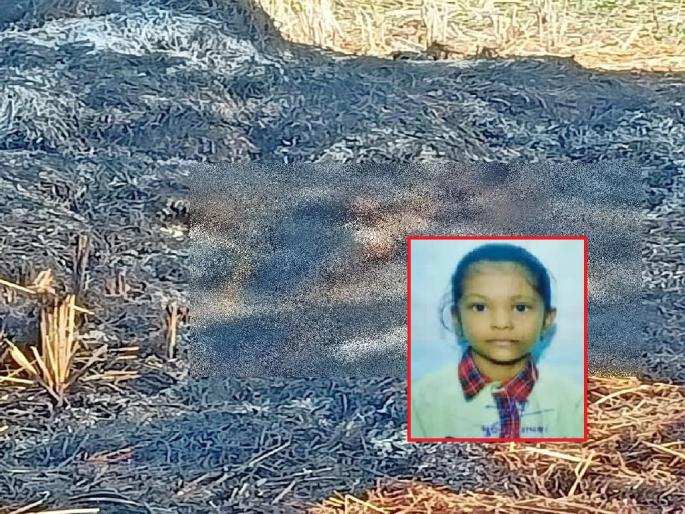 a eight-year-old missing girl's dead body found in a burnt paddy piles at sakoli bhandara | चिमुकलीला ठार मारले, तणसाच्या ढिगाऱ्यात जाळले; हत्येचे गूढ कायम, चर्चेला उधाण a eight-year-old missing girl's dead body found in a burnt paddy piles at sakoli bhandara | चिमुकलीला ठार मारले, तणसाच्या ढिगाऱ्यात जाळले; हत्येचे गूढ कायम, चर्चेला उधाण