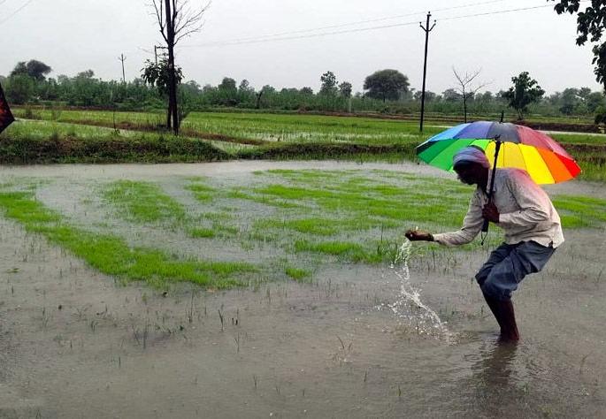 Rain all over Vidarbha, Orange Alert in Nagpur, Wardha | विदर्भात सर्वदूर पाऊस, नागपूर, वर्धामध्ये ऑरेंज अलर्ट Rain all over Vidarbha, Orange Alert in Nagpur, Wardha | विदर्भात सर्वदूर पाऊस, नागपूर, वर्धामध्ये ऑरेंज अलर्ट