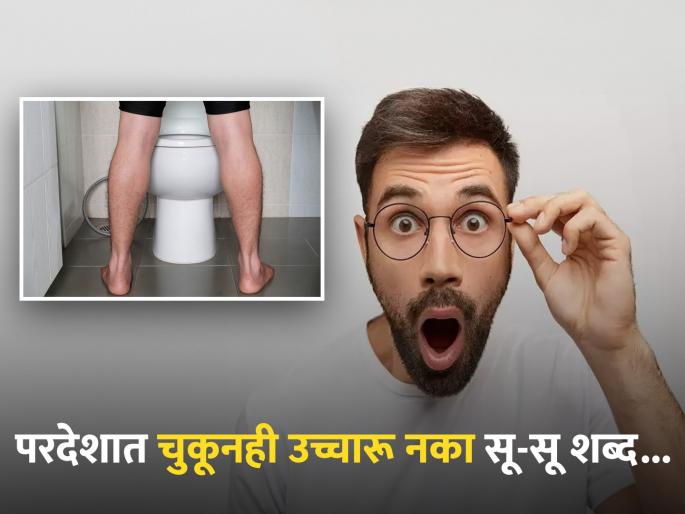 What is the meaning of su-su word in other countries you will shock | भारतात सू-सू चा अर्थ अनेकांना माहीत असेल, पण परदेशात बदलतो याचा अर्थ; वाचा काय... What is the meaning of su-su word in other countries you will shock | भारतात सू-सू चा अर्थ अनेकांना माहीत असेल, पण परदेशात बदलतो याचा अर्थ; वाचा काय...