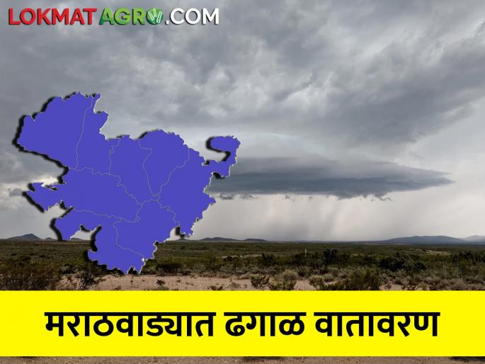 Cloudy, dry weather expected in Marathwada for the next five days | मराठवाड्यात पुढील पाच दिवस ढगाळ, कोरड्या हवामानाची शक्यता Cloudy, dry weather expected in Marathwada for the next five days | मराठवाड्यात पुढील पाच दिवस ढगाळ, कोरड्या हवामानाची शक्यता