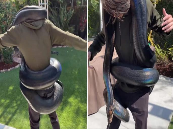 Viral video poisonous snake gripped the person then it happened like this | Viral Video : बघता बघता तरूणाच्या शरीराला अजगराने मारली गुंडाळी आणि मग....