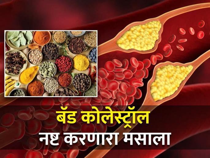 How ginger can help in lowering bad cholesterol | शरीरातून High Cholesterol गायब करून टाकेल हा एक मसाला, लगेच सेवन करा सुरू How ginger can help in lowering bad cholesterol | शरीरातून High Cholesterol गायब करून टाकेल हा एक मसाला, लगेच सेवन करा सुरू