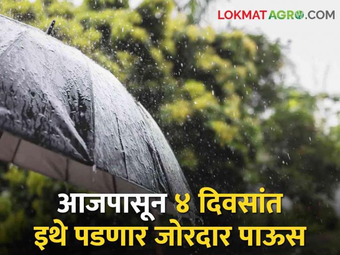 Maharashtra Rain Updates Heavy rain will fall in these parts of the state in the next four days | Maharashtra Rain Updates: येणाऱ्या चार दिवसांत राज्यातील 'या' भागांत पडणार मुसळधार पाऊस
