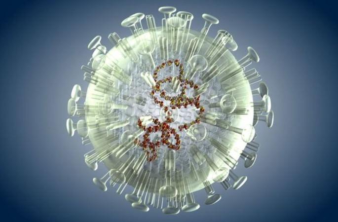 1077 positive, 26 deaths in Vidarbha; The number of patients is 26725 | विदर्भात १०७७ पॉझिटिव्ह, २६ मृत्यू; रुग्णसंख्या २६७२५