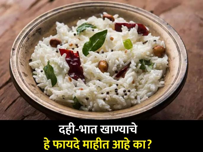 You will be speechless after reading these amazing benefits of eating curd and rice you should know | दही-भात खाण्याचे हे जबरदस्त फायदे वाचून व्हाल अवाक्, अनेक समस्यावर ठरतो रामबाण उपाय