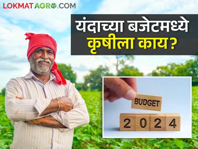 Interim Budget 2024: Special focus on farmers in the interim budget, what about the agriculture sector this year? | Interim Budget 2024: अंतरिम अर्थसंकल्पात शेतकऱ्यांवर राहणार विशेष लक्ष, यंदा कृषी क्षेत्राला काय? Interim Budget 2024: Special focus on farmers in the interim budget, what about the agriculture sector this year? | Interim Budget 2024: अंतरिम अर्थसंकल्पात शेतकऱ्यांवर राहणार विशेष लक्ष, यंदा कृषी क्षेत्राला काय?