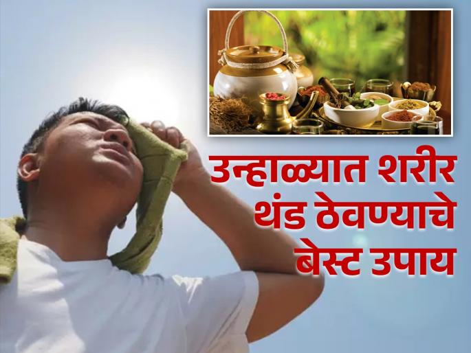 These Ayurvedic herbs will keep your body cool in summer | उन्हाळ्यात शरीराला ठंडा-ठंडा कूल कूल ठेवणाऱ्या जडीबुटी, दिवसभर तुम्हाला वाटेल फ्रेश! These Ayurvedic herbs will keep your body cool in summer | उन्हाळ्यात शरीराला ठंडा-ठंडा कूल कूल ठेवणाऱ्या जडीबुटी, दिवसभर तुम्हाला वाटेल फ्रेश!