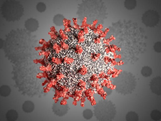 Coronavirus virus to kill 'Ananya'! | ‘अनन्या’ मारणार कोरोनाचा विषाणू! Coronavirus virus to kill 'Ananya'! | ‘अनन्या’ मारणार कोरोनाचा विषाणू!