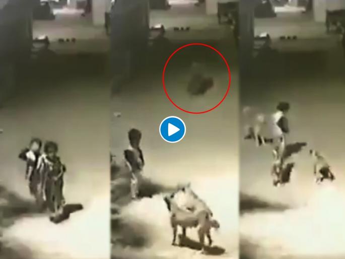Dogs were barking at kids this happens then video goes viral | डर के आगे जीत है! तीन कुत्र्यांनी या लहान मुलाला घेरलं, त्याने जे केलं ते बघून व्हाल थक्क..... Dogs were barking at kids this happens then video goes viral | डर के आगे जीत है! तीन कुत्र्यांनी या लहान मुलाला घेरलं, त्याने जे केलं ते बघून व्हाल थक्क.....