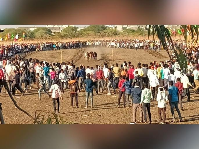 A pair of oxen from mp won the prize of one lakh by closing the gap in six seconds and 21 points in Vidarbha Kesari Shankar Pat | हवेच्या वेगाने धावल्या बैलजोडी; सहा सेकंद २१ पाॅइंटमध्ये अंतर सर, जिंकले लाखाचे बक्षीस A pair of oxen from mp won the prize of one lakh by closing the gap in six seconds and 21 points in Vidarbha Kesari Shankar Pat | हवेच्या वेगाने धावल्या बैलजोडी; सहा सेकंद २१ पाॅइंटमध्ये अंतर सर, जिंकले लाखाचे बक्षीस