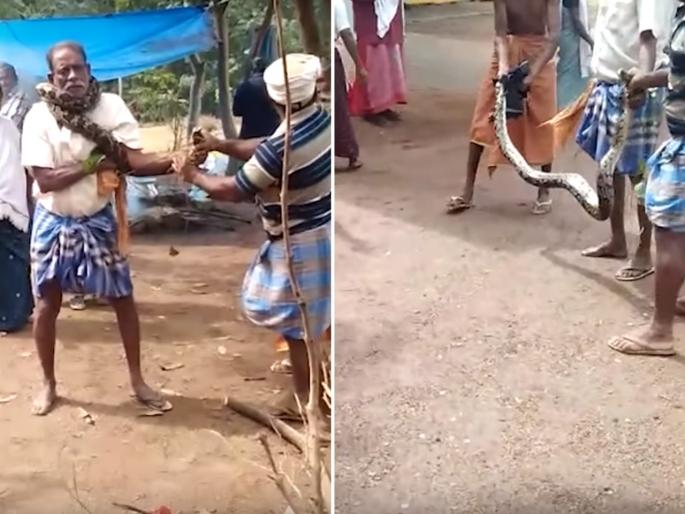 Kerala 58 year old man caught death grip 10 foot long python rescued by locals watch viral video | Video : वृद्ध माणसाच्या गळ्याभोवती अजगराने घातला विळखा अन् Kerala 58 year old man caught death grip 10 foot long python rescued by locals watch viral video | Video : वृद्ध माणसाच्या गळ्याभोवती अजगराने घातला विळखा अन्