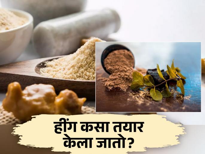 Asafoetida manufacturing factory process video goes viral | हींग कसा तयार केला जातो तुम्हालाही नसेल माहीत, बघा मेकिंग व्हिडीओ Asafoetida manufacturing factory process video goes viral | हींग कसा तयार केला जातो तुम्हालाही नसेल माहीत, बघा मेकिंग व्हिडीओ