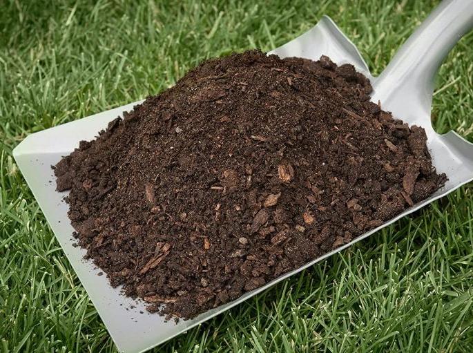 The price of gold came to the cow dung fertilizer ; Demand increased in Amravati district | शेणखताला आला सोन्याचा भाव; अमरावती जिल्ह्यात मागणी वाढली The price of gold came to the cow dung fertilizer ; Demand increased in Amravati district | शेणखताला आला सोन्याचा भाव; अमरावती जिल्ह्यात मागणी वाढली