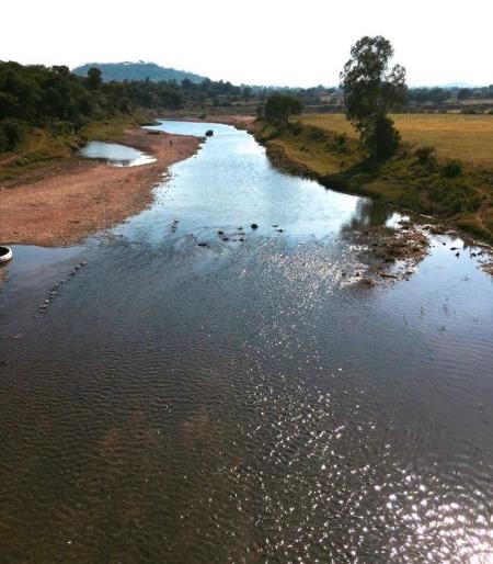 Give water tax first, then take summer crop; order by Etiadoh Irrigation Department in Bhandara District | आधी पाणसारा द्या, मग उन्हाळी पीक घ्या; भंडारा जिल्ह्यात इटियाडोह पाटबंधारे विभागाचा फतवा Give water tax first, then take summer crop; order by Etiadoh Irrigation Department in Bhandara District | आधी पाणसारा द्या, मग उन्हाळी पीक घ्या; भंडारा जिल्ह्यात इटियाडोह पाटबंधारे विभागाचा फतवा