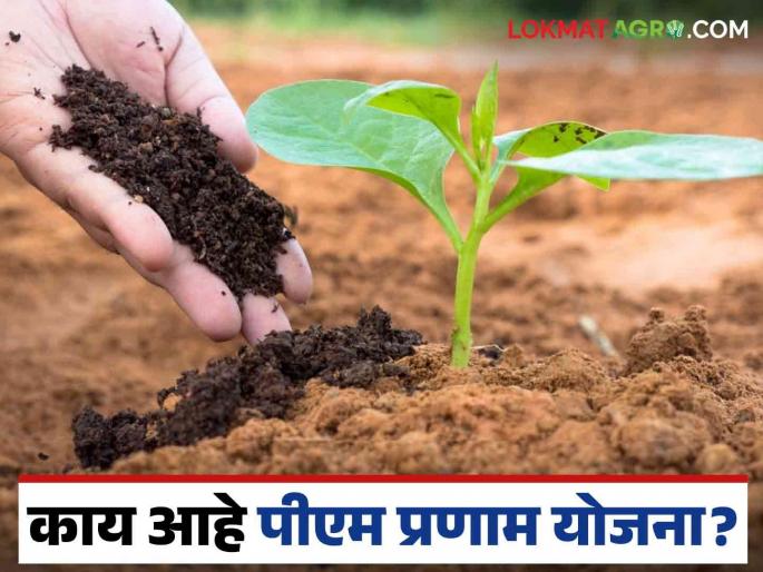 What is the PM Pranam scheme implemented to reduce the use of chemical fertilizers? | PM PRANAM : रासायनिक खतांचा वापर कमी करण्यासाठी राबवलेली पीएम प्रणाम योजना काय आहे?