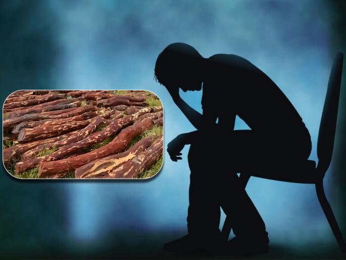 MBA youth became red sandalwood smuggler the idea came after watching the film Pushpa | MBA पास करूनही मिळाली नाही चांगली नोकरी, पुष्पा सिनेमा बघून बनला चंदन तस्कर आणि मग... MBA youth became red sandalwood smuggler the idea came after watching the film Pushpa | MBA पास करूनही मिळाली नाही चांगली नोकरी, पुष्पा सिनेमा बघून बनला चंदन तस्कर आणि मग...