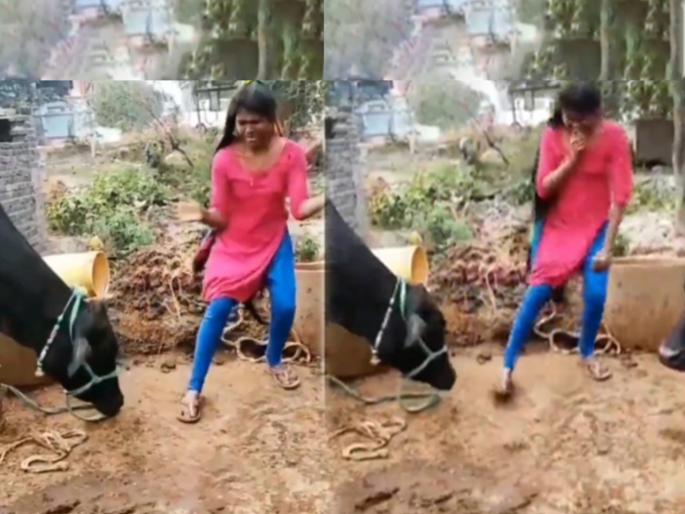 Funny Video : Girl starting dance in front of buffalo then what happened watch funny video | Funny Video: म्हशीसमोर डान्स करत होती तरूणी, आयुष्यभर विसरणार नाही असा बसला फटका Funny Video : Girl starting dance in front of buffalo then what happened watch funny video | Funny Video: म्हशीसमोर डान्स करत होती तरूणी, आयुष्यभर विसरणार नाही असा बसला फटका