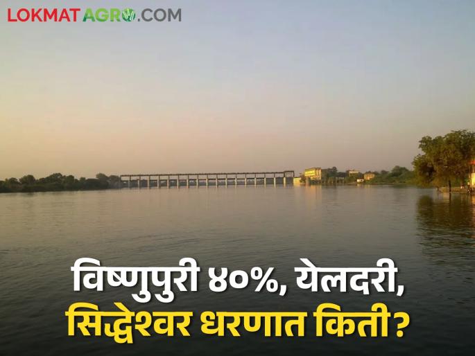 Dam storage: Now only 40 percent water storage in Vishnupuri Dam, what is the situation in Yeldari, Siddheshwar? | Dam storage: विष्णुपूरी धरणात आता केवळ ४० टक्के पाणीसाठा, येलदरी, सिद्धेश्वरमध्ये काय स्थिती? Dam storage: Now only 40 percent water storage in Vishnupuri Dam, what is the situation in Yeldari, Siddheshwar? | Dam storage: विष्णुपूरी धरणात आता केवळ ४० टक्के पाणीसाठा, येलदरी, सिद्धेश्वरमध्ये काय स्थिती?