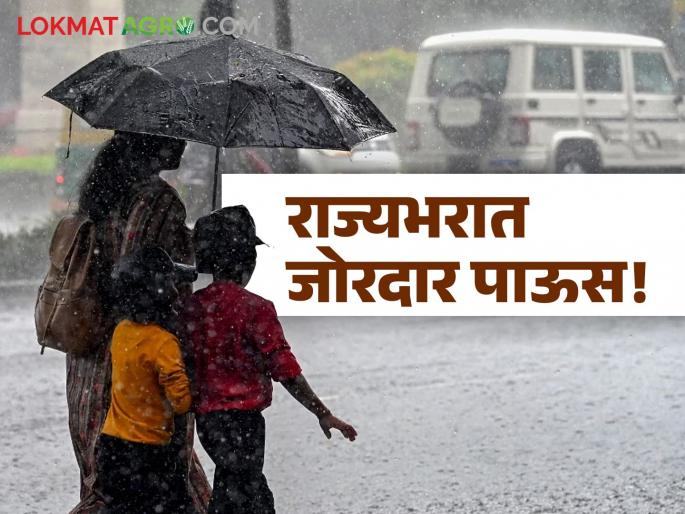 Maharashtra Rain weather Heavy rain across the state! What are the weather department warnings? | Maharashtra Rain : राज्यभरामध्ये जोरदार पाऊस! काय आहेत हवामान विभागाचे इशारे? Maharashtra Rain weather Heavy rain across the state! What are the weather department warnings? | Maharashtra Rain : राज्यभरामध्ये जोरदार पाऊस! काय आहेत हवामान विभागाचे इशारे?