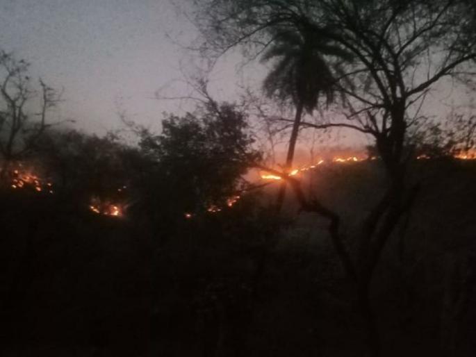 Fire at Sariska Forest in Rajasthan; animals ran towards villages; Ordered an Army helicopters | Fire in Sariska Forest: राजस्थानच्या जंगलात भीषण वणवा; प्राणी जिवाच्या आकांताने गावांकडे पळाले; लष्कराची हेलिकॉप्टर मागविली Fire at Sariska Forest in Rajasthan; animals ran towards villages; Ordered an Army helicopters | Fire in Sariska Forest: राजस्थानच्या जंगलात भीषण वणवा; प्राणी जिवाच्या आकांताने गावांकडे पळाले; लष्कराची हेलिकॉप्टर मागविली