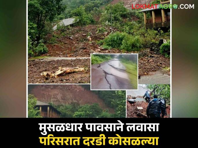 Pune Rain Highest rainfall in Lavasa area of Pune Cracks fell cracks fell on the road | Pune Rain : पुण्यातील लवासा परिसरात सर्वाधिक पाऊस; दरडी कोसळल्या, रस्त्याला पडल्या भेगा Pune Rain Highest rainfall in Lavasa area of Pune Cracks fell cracks fell on the road | Pune Rain : पुण्यातील लवासा परिसरात सर्वाधिक पाऊस; दरडी कोसळल्या, रस्त्याला पडल्या भेगा