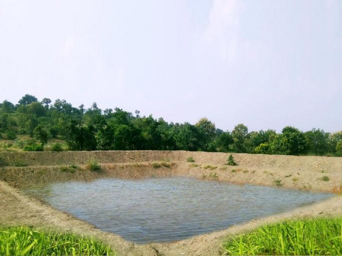 155 farming work completed, farmers' response increased | १५५ शेततळ्यांचे काम पूर्ण, शेतक-यांचा प्रतिसाद वाढला 155 farming work completed, farmers' response increased | १५५ शेततळ्यांचे काम पूर्ण, शेतक-यांचा प्रतिसाद वाढला