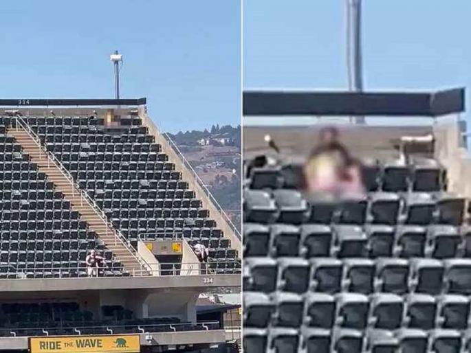 A video of a couple committing lewd acts during a baseball match is going viral  | सामन्यादरम्यान अश्लील कृत्य करणं जोडप्याला पडलं महागात; ६ सेकंदाची मस्ती अन् ६ महिने तुरूंगवास! A video of a couple committing lewd acts during a baseball match is going viral  | सामन्यादरम्यान अश्लील कृत्य करणं जोडप्याला पडलं महागात; ६ सेकंदाची मस्ती अन् ६ महिने तुरूंगवास!