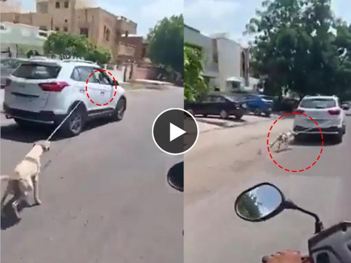 A video of a doctor driving a dog tied to a running car is going viral in Rajasthan's Jodhpur | इथे माणुसकी संपली! धावत्या कारला बांधून कुत्र्याला नेले फरफटत, व्हिडीओ व्हायरल होताच गुन्हा दाखल A video of a doctor driving a dog tied to a running car is going viral in Rajasthan's Jodhpur | इथे माणुसकी संपली! धावत्या कारला बांधून कुत्र्याला नेले फरफटत, व्हिडीओ व्हायरल होताच गुन्हा दाखल
